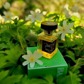 Ich wünsche euch einen wunderschönen Frühlingsmorgen, und ganz lieben Dank 🙏🤗 (von Gandix)