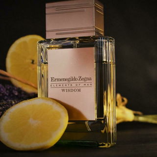 Wisdom von Ermenegildo Zegna