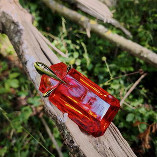 Im Feuer geboren, von Rubinen erhellt, Alien Fusion – ein Rätsel der Welt. Würzig wie Dämmerung, warm wie die Glut, ein Herz, das in Sonnenuntergängen ruht.  Jasmin und Orange im heißen Kuss, ein Duft, der brennt – und doch lieben muss.