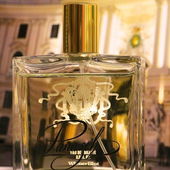 Panasch vor der Hofburg (von TomLavender)