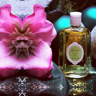 Der Geist der Weihnacht