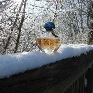 N°5 (Eau de Toilette) - Chanel