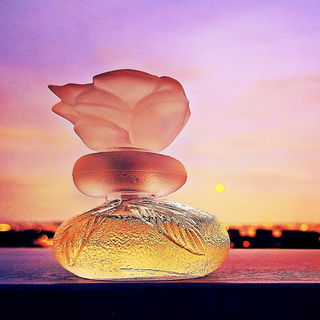 Lichter der Großstadt am Abend 🌅 Euch allen vielen Dank für's Vorbeischauen 🧡