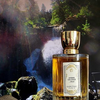 Ambre Sauvage Absolu von Goutal