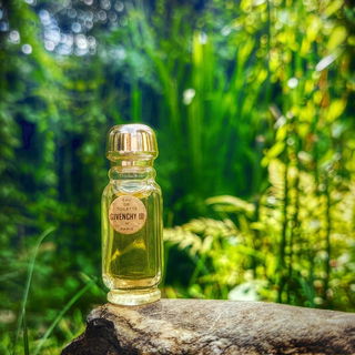 Givenchy bedankt sich für all die lieben Kommentare 💚