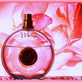 Rose Aoud - M. Micallef