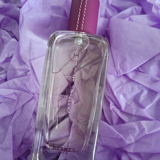Violette Volynka von Hermès