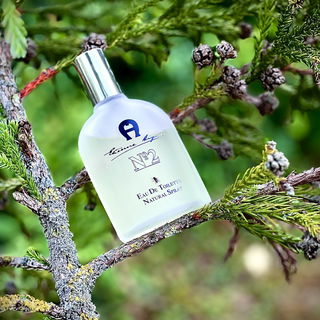 Etienne Aigner Nº2 (Eau de Toilette)