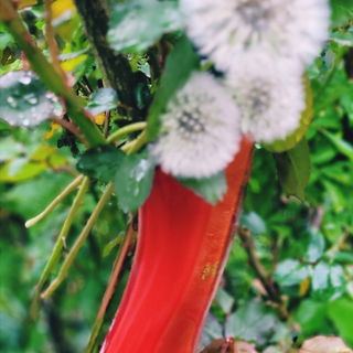 Very Good Girl (Eau de Parfum) - Carolina Herrera