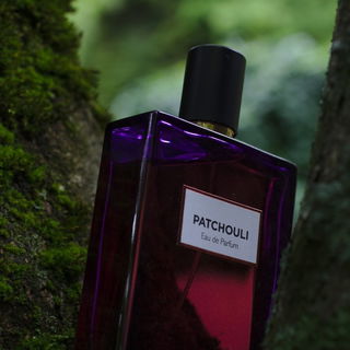 Patchouli sitzt im Baum