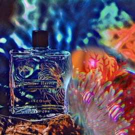 Geranium Bourbon - Miller Harris