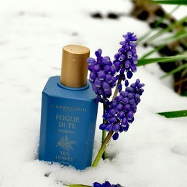 *Aprilschnee* (2)