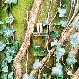 Not a Perfume (Eau de Parfum) - Juliette Has A Gun