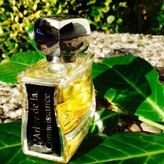 L'Arbre de la Connaissance - Jovoy