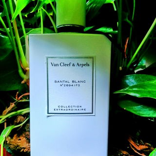Santal Blanc by Van Cleef & Arpels