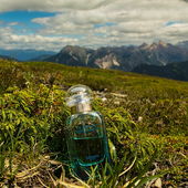 Maurerberg auf dem Weg zum Gipfel - Italien --- Vielen Dank für eure lieben Worte, einmal wieder! Ich freue mich jedes Mal total (von DrHildegard)