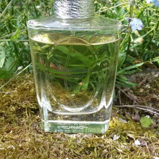 Diorissimo (1956) (Eau de Toilette) von Dior