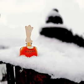It's cold outside,Isadora.Miniatur.Warm•puderig•würzig•blumig. DANKE allen,das war heute ein spontanes Schnee - Foto ❄️ Das System zeigt meine 