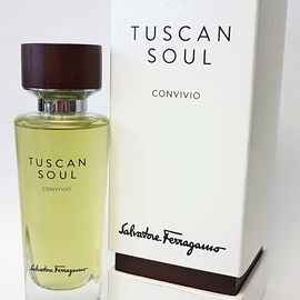 Convivio (Eau de Toilette) - Salvatore Ferragamo