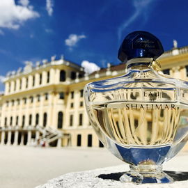 Prinzessin Shalimar zu Besuch in Wien-Schloss Schönbrunn. Ihr Lieben, ich hab gepasst wie eine Katze, damit ich einen „ besucherfreien“ Moment erwischen konnte.....