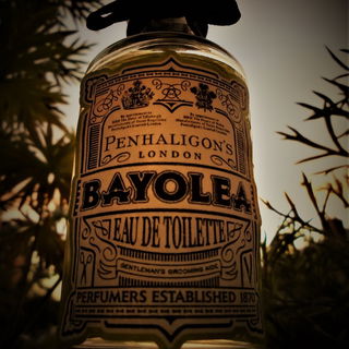 Gentleman's summer grooming aide