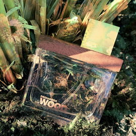 She Wood - Dsquared²