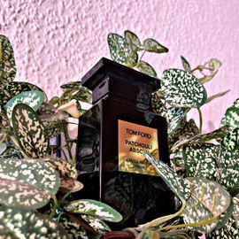 Patchouli Absolu - Tom Ford
