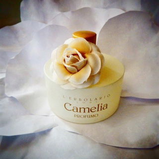 Camelia