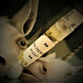 Ein Horn an der Backe (von Floyd)