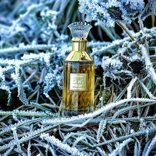 …📷🌍 Thank you. Danke schön. Merci beaucoup. Muchas gracias. Dōmo arigatō gozaimasu 💐…