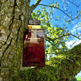 Dolce & Gabbana pour Femme Intense - Dolce & Gabbana