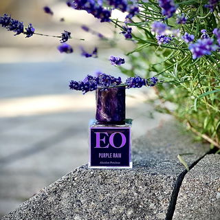 Purple Rain: Jiaozhi by Ensar Oud