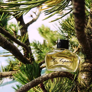 Les Copains - Les Copains