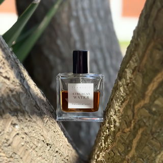 Freefall - Etruscan Water by Francesca Bianchi