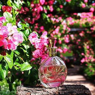 Serpentine (2005) - Roberto Cavalli