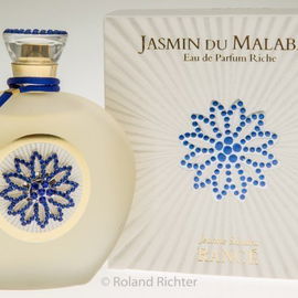 Jasmin du Malabar - Rancé 1795