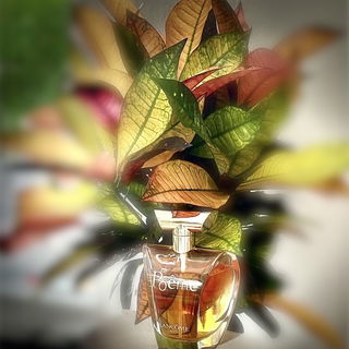 Poême (Eau de Parfum) by Lancôme