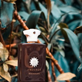 Boundless - Amouage
