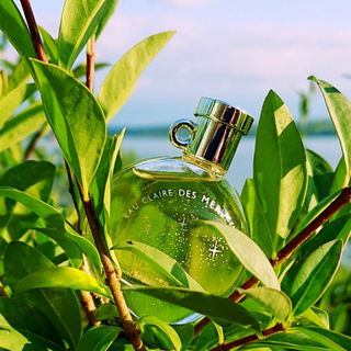 Herzlichen Dank Euch allen 💚