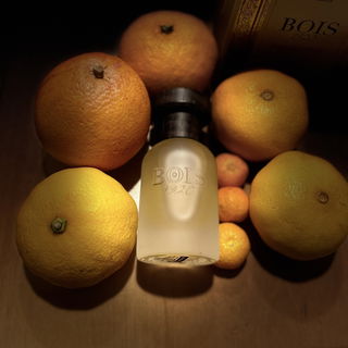 Classic Paradise von Bois 1920
