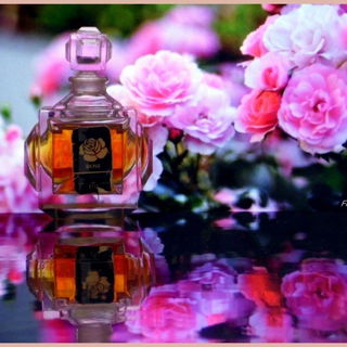 Rose (Eau de Toilette) - Molinard