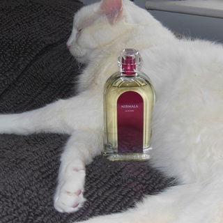 Nirmala (Eau de Toilette) von Molinard
