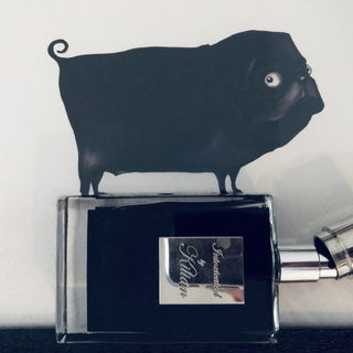 von Benedikt2019
