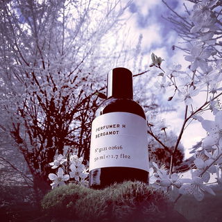 Wenn Bäume ein weißes Brautkleid tragen...lieben Dank euch allen und einen schönen Feiertag 🤗