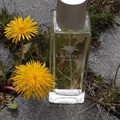 ...Überlebenskünstler... (by Kailani)