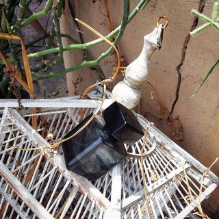 Provenance Tales - Incognito - Rouge Bunny Rouge