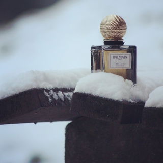 Ambre Gris von Balmain