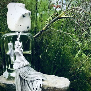 Caterpillar… siehst du sie?