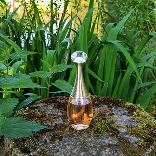 J'adore In Joy von Dior