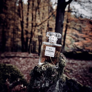Ein Blatt fällt leis, die Welt wird still, der Wind trägt Gold auf jede Schwelle 🍂 Ein Hauch von Wärme, zart und kühl – Chanel N°5 – die Seele der Novelle.  Im Herbst verblasst, was gehen muss, doch dieser Duft – bleibt wie ein Kuss🍁🍂